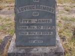 JAMES Fitz 1875-1953
