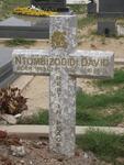DAVID Ntombizodidi 1968-2010