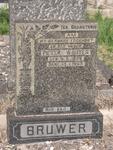 BRUWER Pieter Wouter 1895-1960