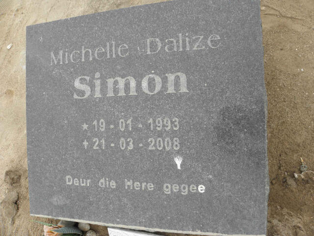 SIMON Michelle Dalize 1993-2008