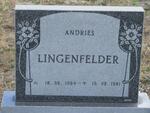 LINGENFELDER Andries 1964-1981