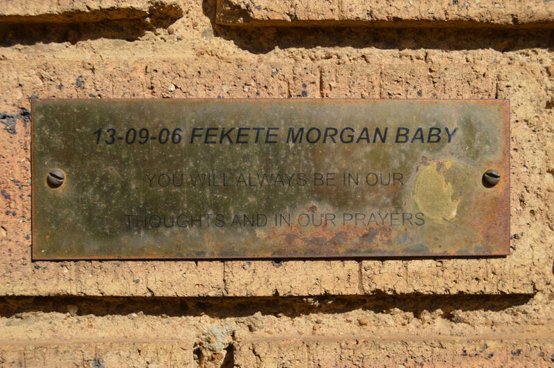 MORGAN, FEKETE -2006