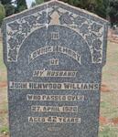 WILLIAMS John Henwood -1920
