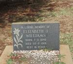 WILLIAMS Elizabeth J. 1848-1919