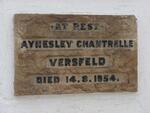 VERSFELD Aynesley Chantrelle -1954