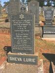 LURIE Sheva -1950