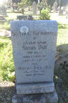 WILL William Hay -1946 & Sarah ELLIS 1861-1937