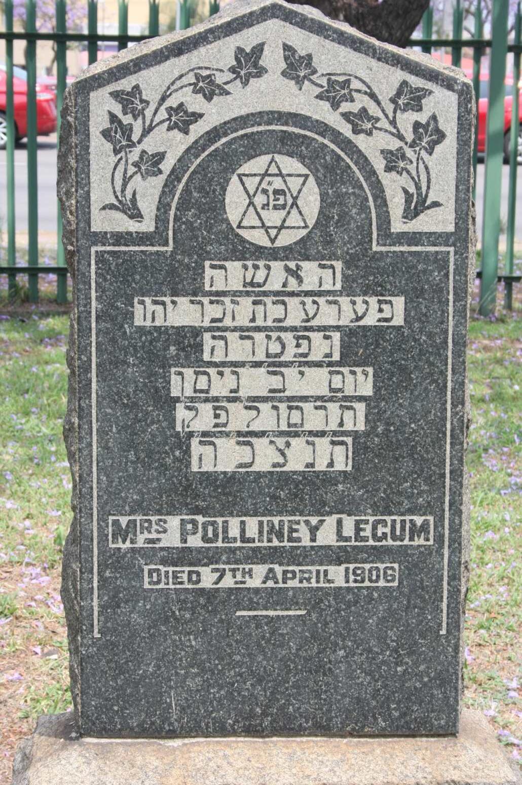 LEGUM Polliney -1906