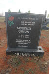 GUMEDE Mduduzi Gibson 1980-2003