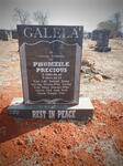 GALELA Phumzile Precious 1983-2011