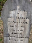 GLADWIN Jane -1915 :: GLADWIN Andrew -1917