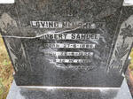 WINTER Robert Samuel 1886-1955