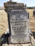 CURNICK Elizabeth Ann 1848-1921