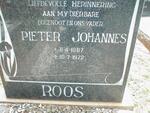 ROOS Pieter Johannes 1887-1972