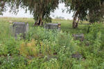 1. Overview of graves on the farm
