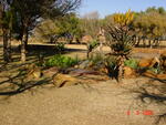 Gauteng, CULLINAN district, Rayton, Kaalfontein 513, farm cemetery_2