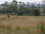 North West, KOSTER district, Vlakdrif, Vlakfontein 385, farm cemetery_2