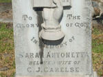 CARELSE Sarah Antonetta 1849-1893