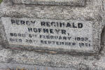 HOFMEYR Percy Reginald 1892-1951