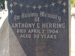 HERRING Anthony C. -1904
