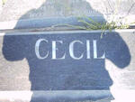 CECIL R.J.