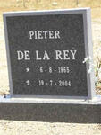 REY Pieter, de la 1965-2004