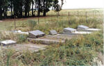 1. The cemetery on the farm, Tussenin