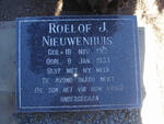 NIEUWENHUIS Roelof J. 1913-1933