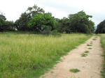 Limpopo, LETABA 1 district, Mooketsi, Platland 401 LT, farm cemetery