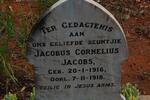 JACOBS Jacobus Cornelius 1916-1918