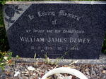 DEWEY William James 1873-1945