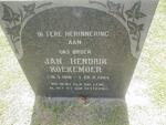 KOEKEMOER Jan Hendrik 1918-1964