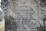 HEERDE Gerrit, van 1855-1931 & Helena BOSSCHER 1859-1902 :: DE JONG Catherina Helena nee VAN  HEERDE 1881-1927