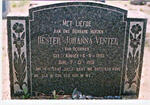 VENTER Hester Johanna nee KRUGER 1893-1950
