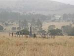 Eastern Cape, STUTTERHEIM district, Horseshoe 230, farm cemetery