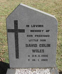WILES David Colin 1986-1988