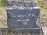 COTTON Mildred 1889-1966