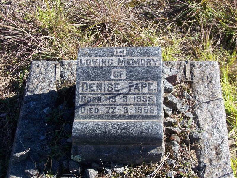 PAPE Denise 1955-1955
