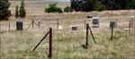 Free State, LINDLEY district, Moedersrus 865, farm cemetery