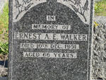WALKER Ernest A.E.  -1951