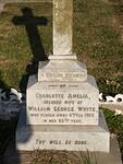WHITE Charlotte Amelia -1909