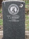 WOODBURY C.J. -1945
