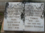 WOODS Thomas 1840-1883 & Helen S. McKenzie 1852-1937 :: WOODS Pearl 1875-1940 :: WOODS Dudley Edward de Vos 1907-1928