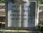 WYLIE David 1946 - 1951