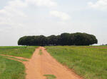 Gauteng, SPRINGS district, Rural (farm cemeteries)