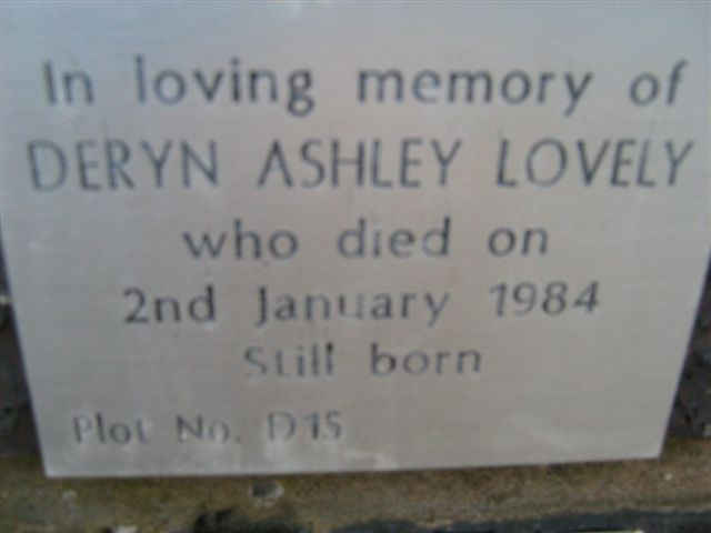 LOVELY Deryn Ashley -1984