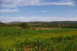 Limpopo, WATERBERG district, Rural (farm cemeteries)