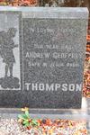 THOMPSON Andrew Geoffrey