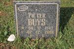 BUYS Pieter 1943-2006