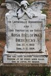 DIEDERICKS Rosa Roelofina 1953-1954